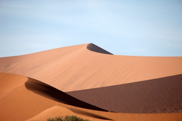 fun_lucky-namibia-2049206