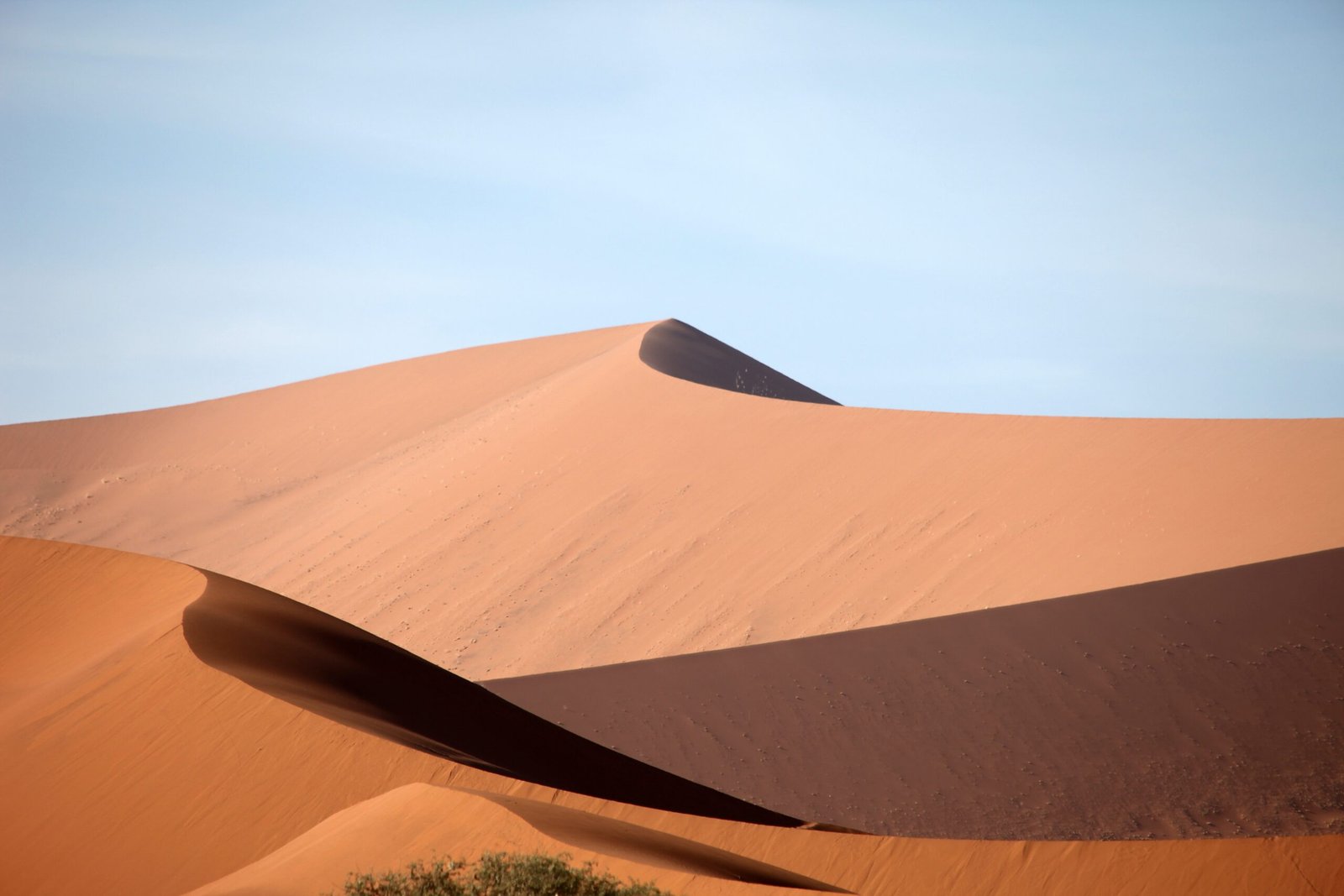 fun_lucky-namibia-2049206